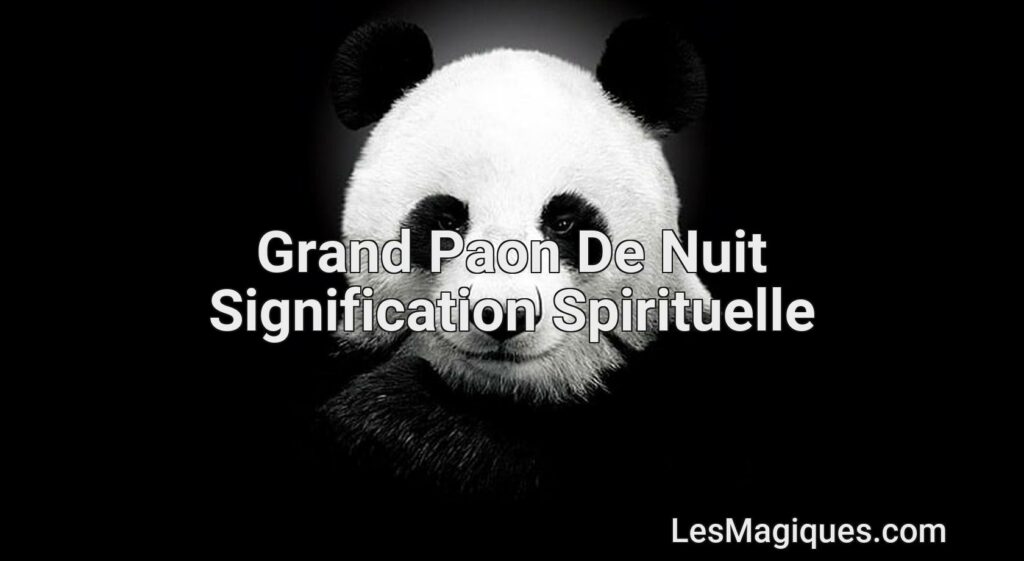 Grand Paon De Nuit Signification Spirituelle