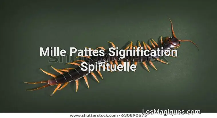 Signification spirituelle de centipede