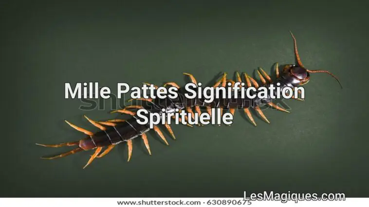 Signification spirituelle de centipede