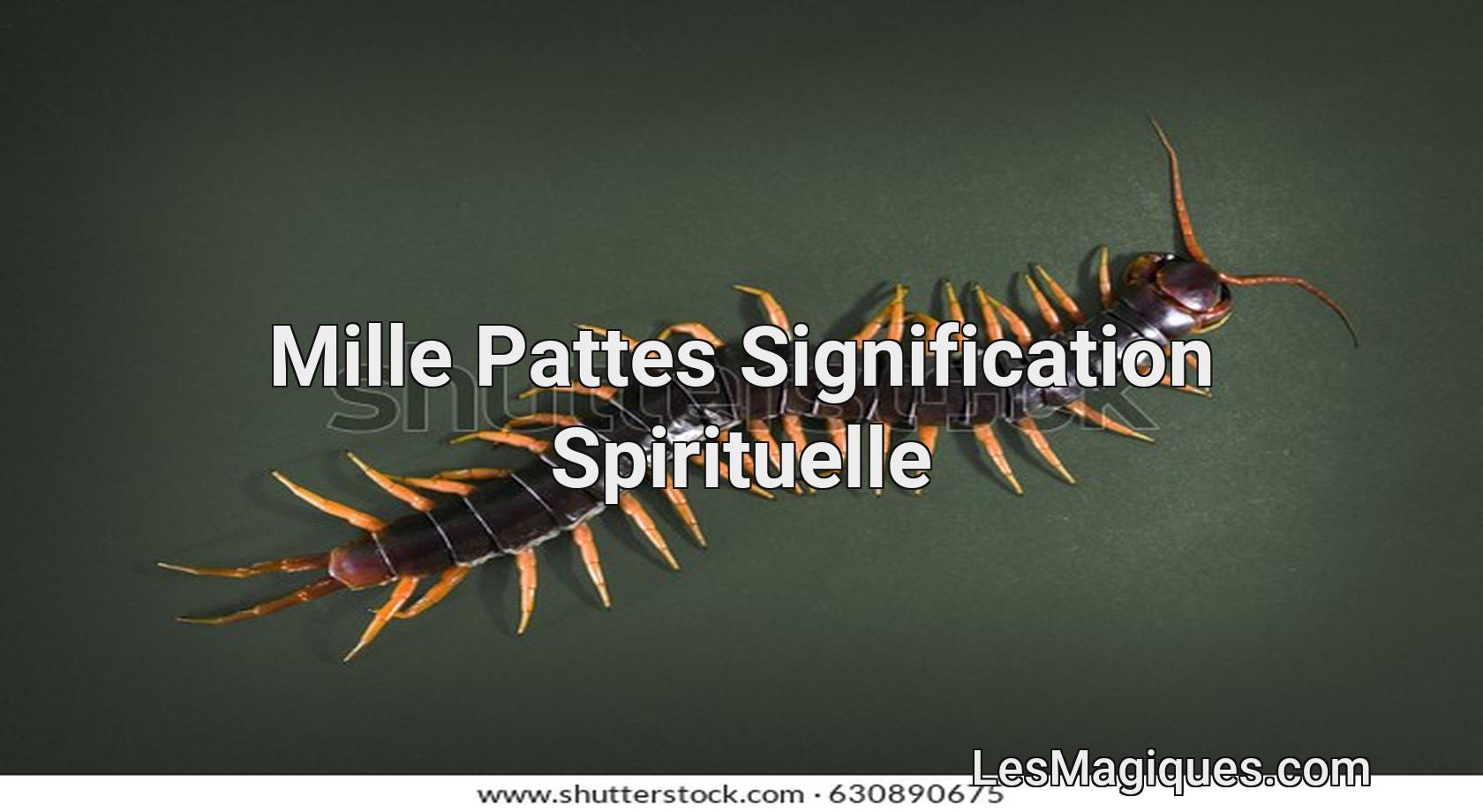 Mille Pattes Dans La Maison Signification Ventana Blog Mille Pattes Dans La Maison Signification Ventana Blog