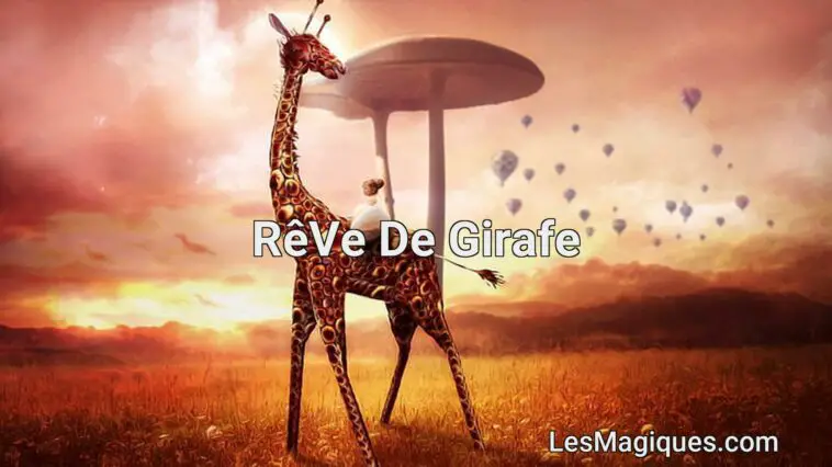 rêve de girafe