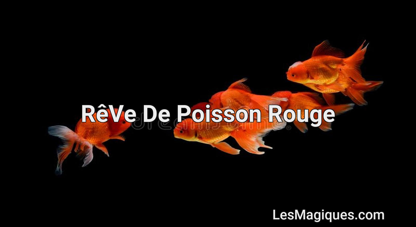 Rever De Poisson Hors De L eau Rêve De Poisson Rouge : 50 scénarios Et Leurs Significations