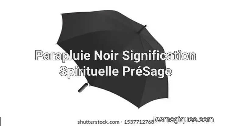 parapluie noir signification spirituelle présage