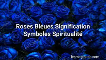 roses bleues signification symboles spiritualité