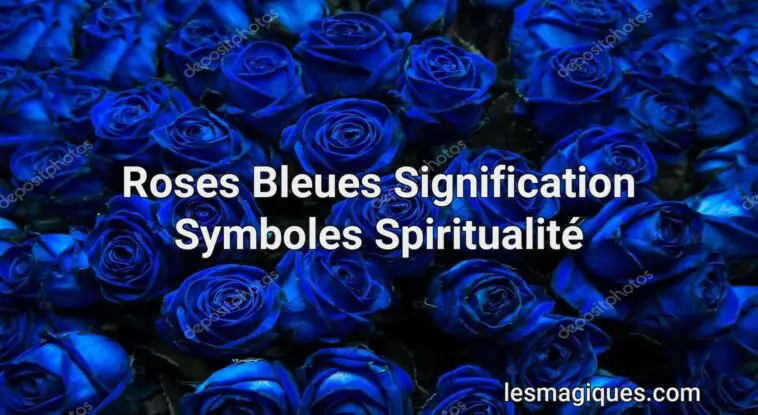 roses bleues signification symboles spiritualité