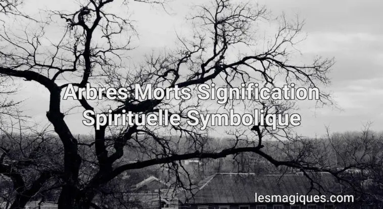 arbres morts signification spirituelle symbolique