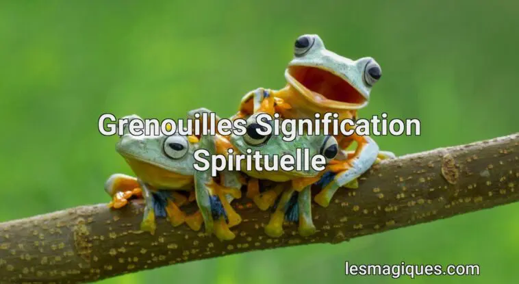grenouilles signification spirituelle
