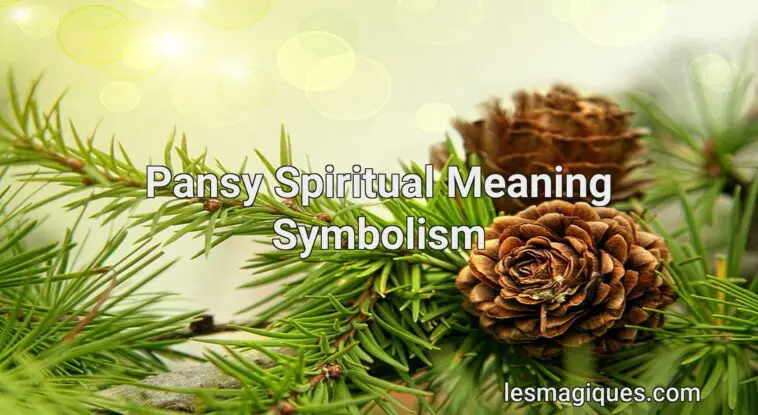pansy spiritual meaning symbolism