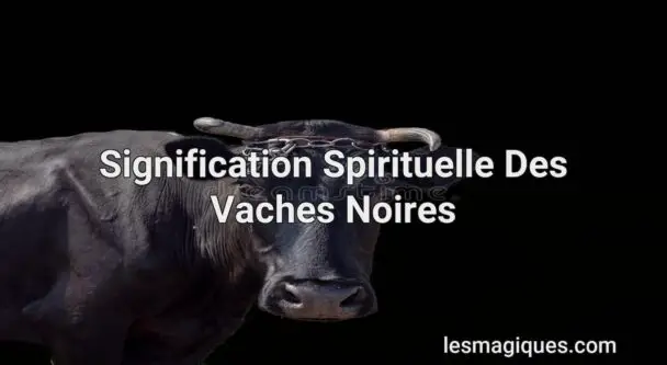Signification Spirituelle Des Vaches Noires [ Interprétation et Présage ]