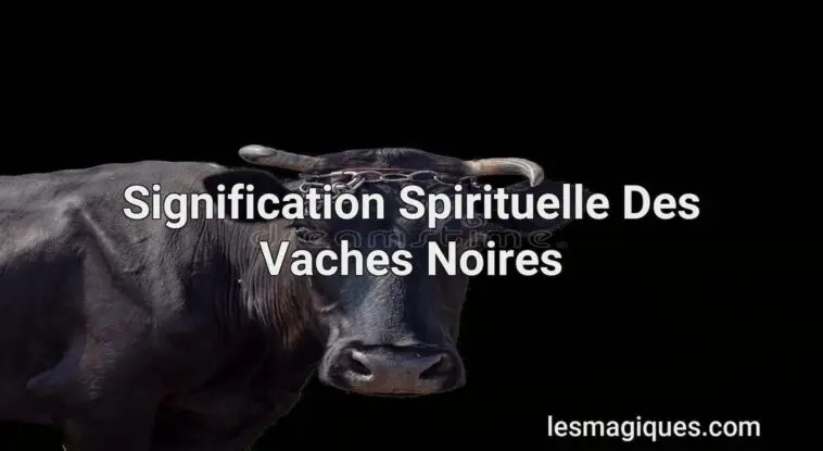 signification spirituelle des vaches noires