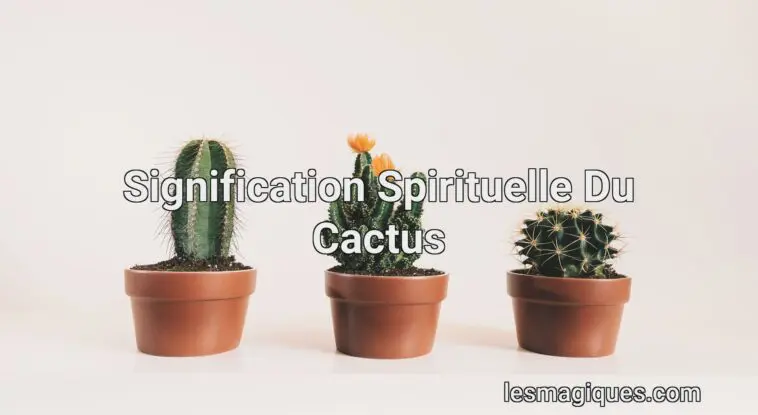 signification spirituelle du cactus