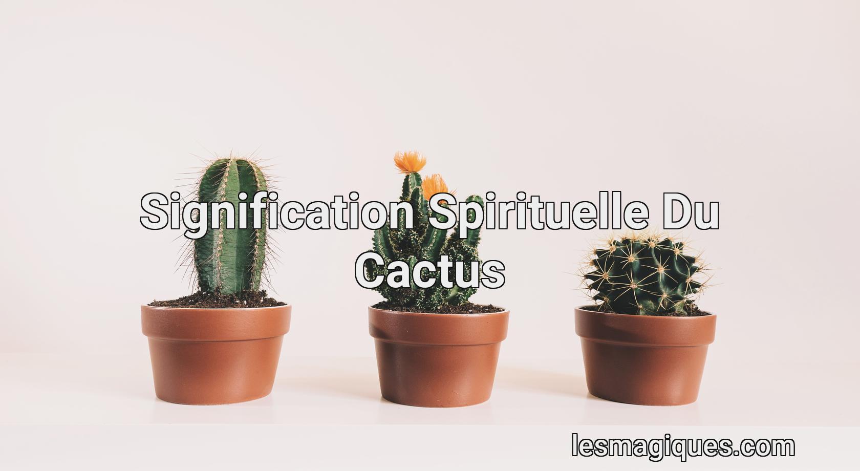 Cactus : Signification Spirituelle [ Interprétation et Présage ]