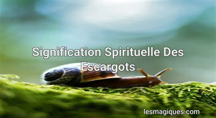 Escargot Signification Spirituelle