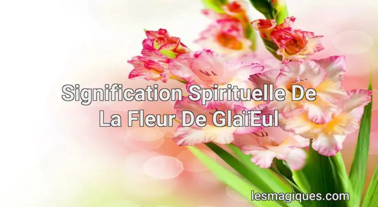 signification spirituelle de la fleur de glaïeul