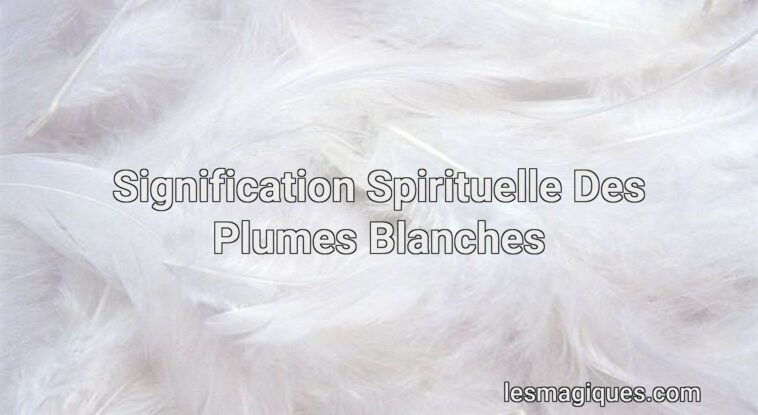 signification spirituelle des plumes blanches