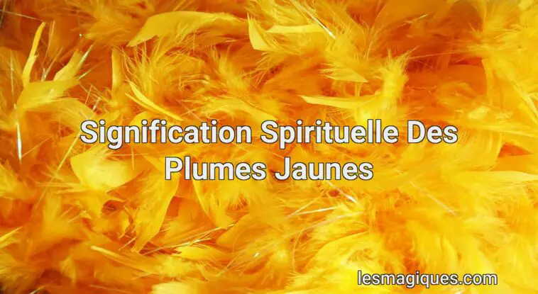 signification spirituelle des plumes jaunes