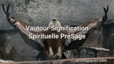 vautour signification spirituelle