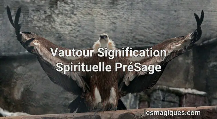 vautour signification spirituelle