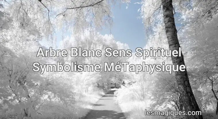 arbre blanc sens spirituel symbolisme métaphysique