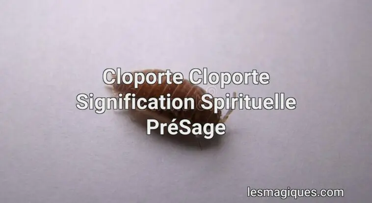 cloporte cloporte signification spirituelle présage