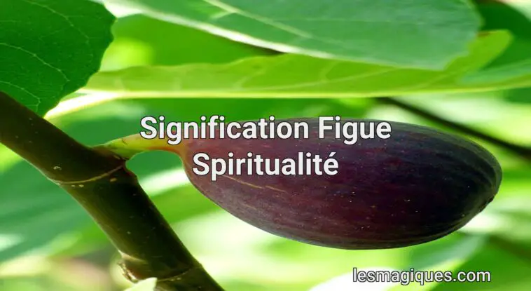 signification figue spiritualité