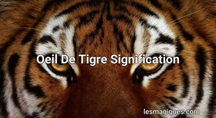oeil de tigre signification