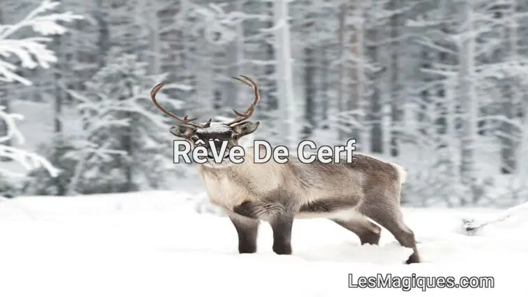 rêve de cerf