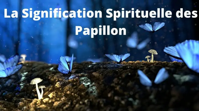 Signification Spirituelle des Papillon