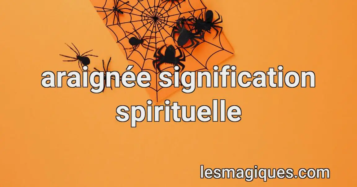 Araignée Signification Spirituelle & Symbolism