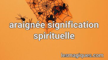 araignée signification spirituelle