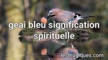geai bleu signification spirituelle