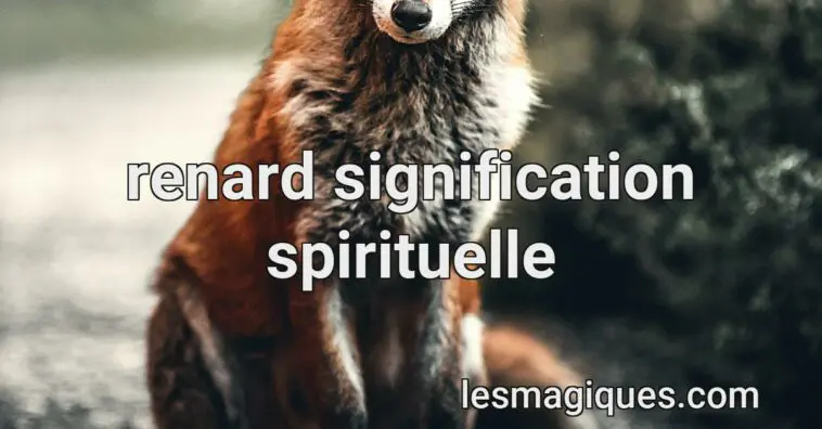 renard signification spirituelle