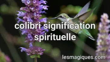 colibri signification spirituelle