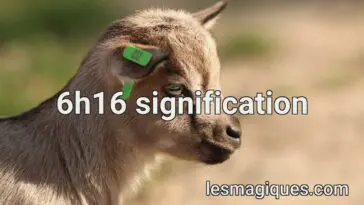 6h16 signification