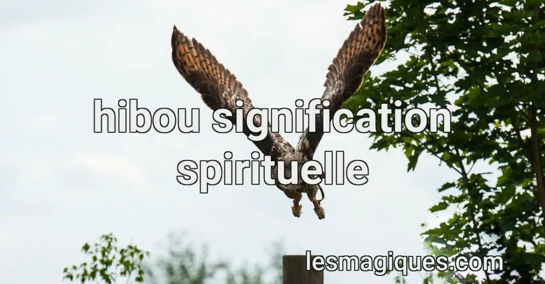 Hibou et Chouette Signification Spirituelle et Symboles