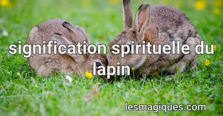 signification spirituelle du lapin