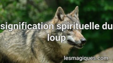 signification spirituelle du loup