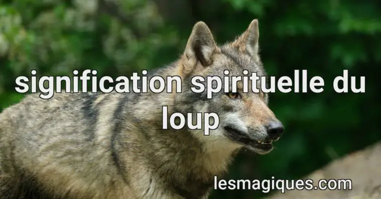 signification spirituelle du loup