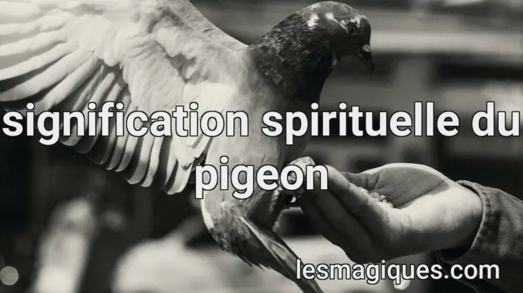 signification spirituelle du pigeon