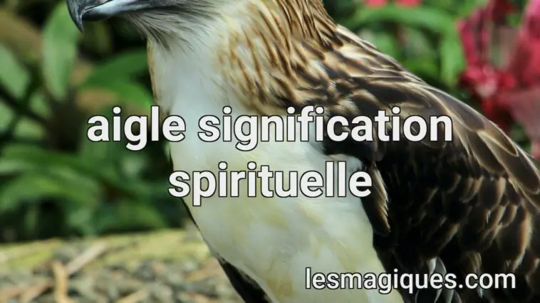 aigle signification spirituelle