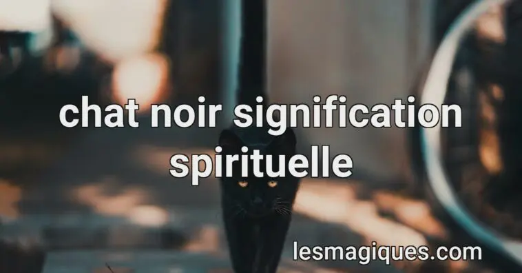 chat noir signification spirituelle