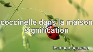 coccinelle dans la maison signification