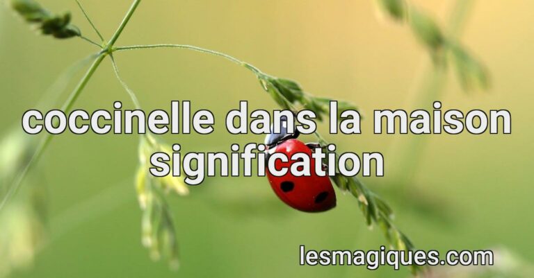 Coccinelle Dans La Maison Signification & [ Présage ]