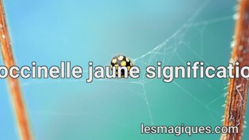 coccinelle jaune signification