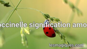 coccinelle signification amour