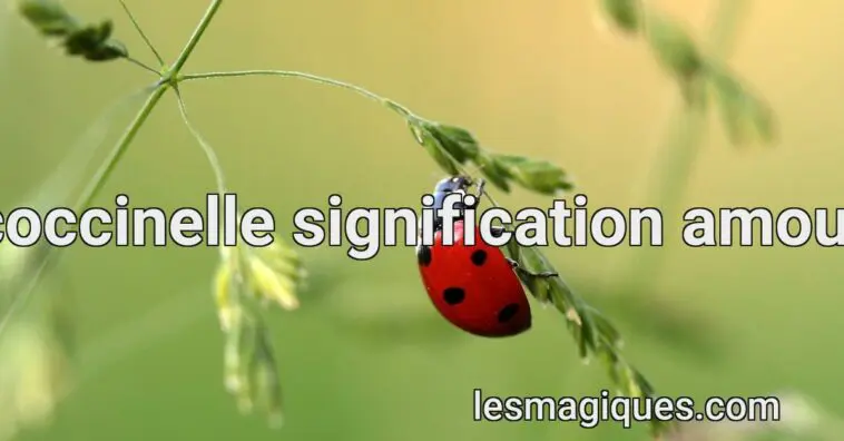 coccinelle signification amour