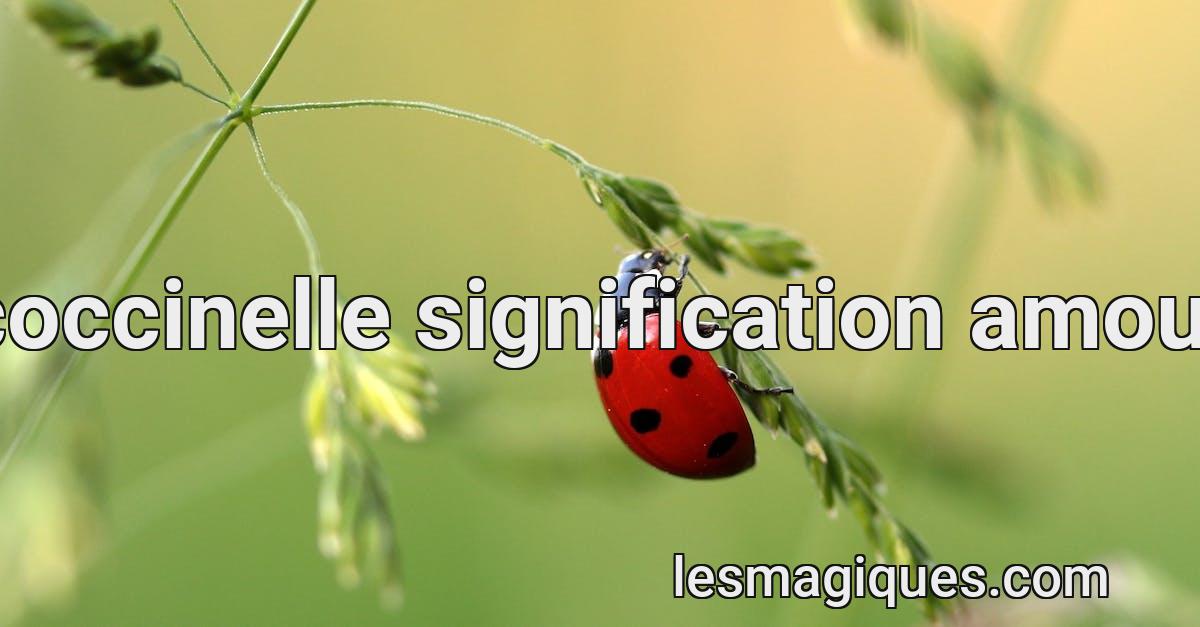 Coccinelle Signification Amour Interpr tation et Pr sage