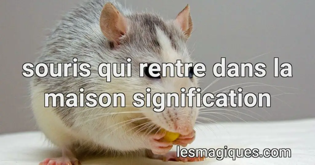 Souris Qui Rentre Dans La Maison Signification