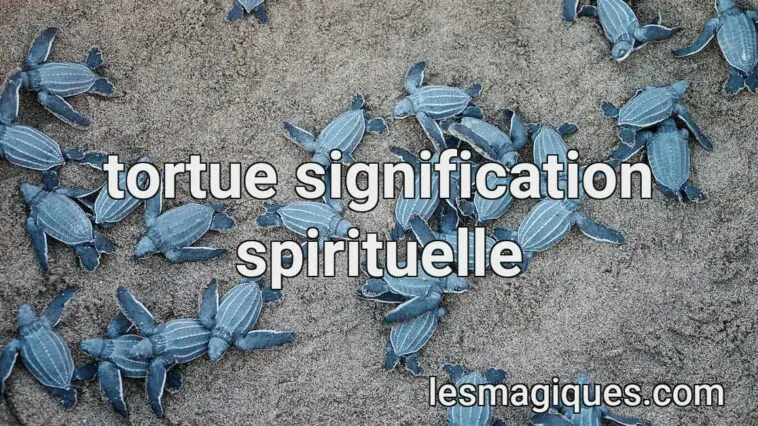 tortue signification spirituelle