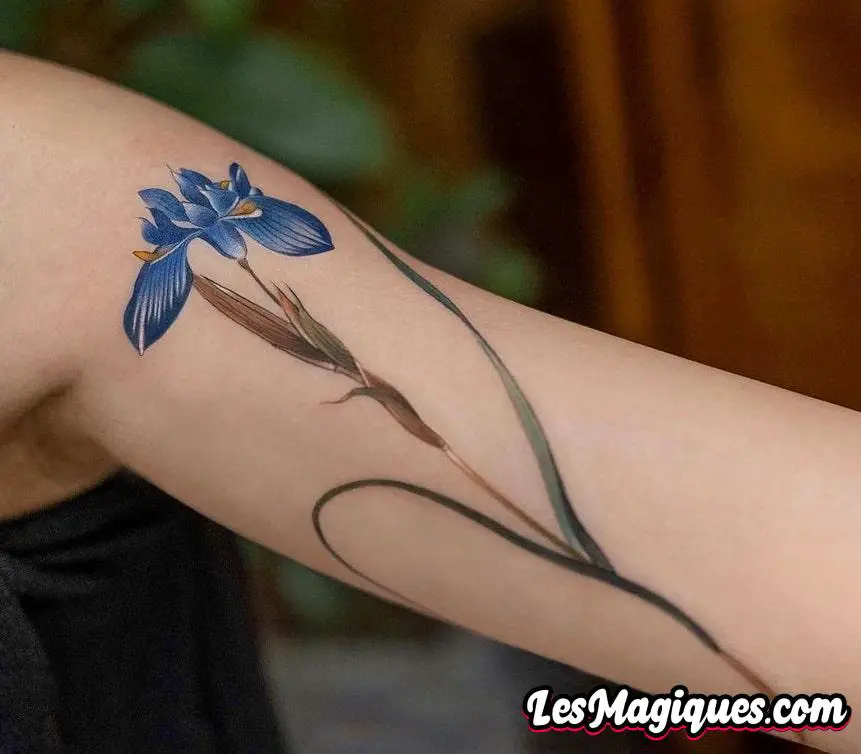 Tatouage Iris Bleu